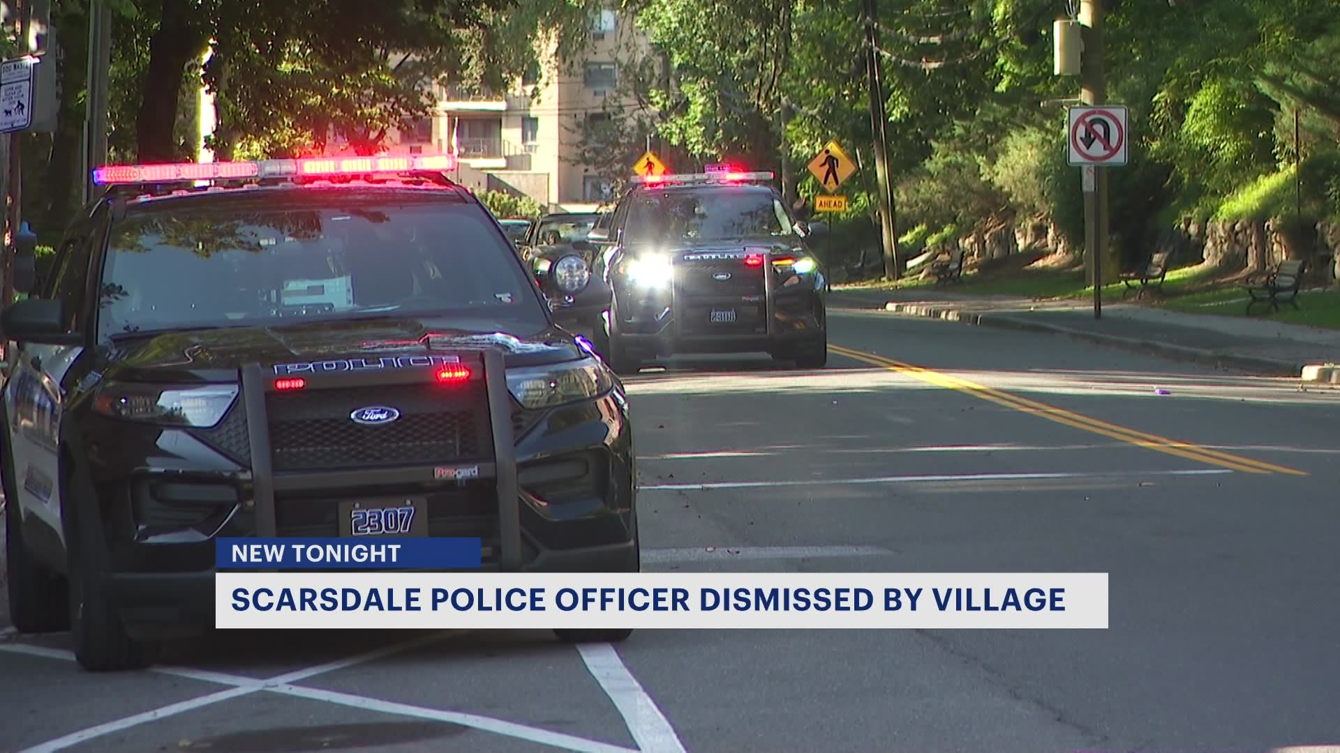 Scarsdale officer dismissed following investigation into actions with Greenburgh fatal hitand