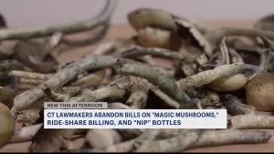 Bills on magic mushrooms, ride-share transparency and 'nip' bottles will not become law