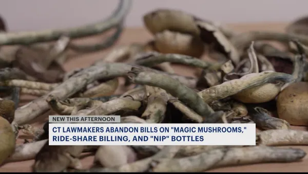 Bills on magic mushrooms, ride-share transparency and 'nip' bottles will not become law