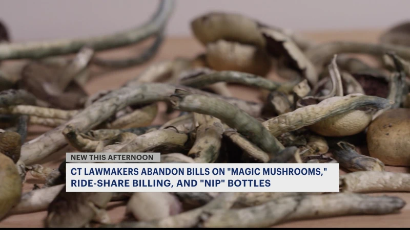 Story image: Bills on magic mushrooms, ride-share transparency and 'nip' bottles will not become law