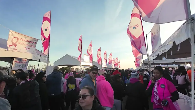 Story image: Jones Beach turns pink for nation’s largest breast cancer walk 
