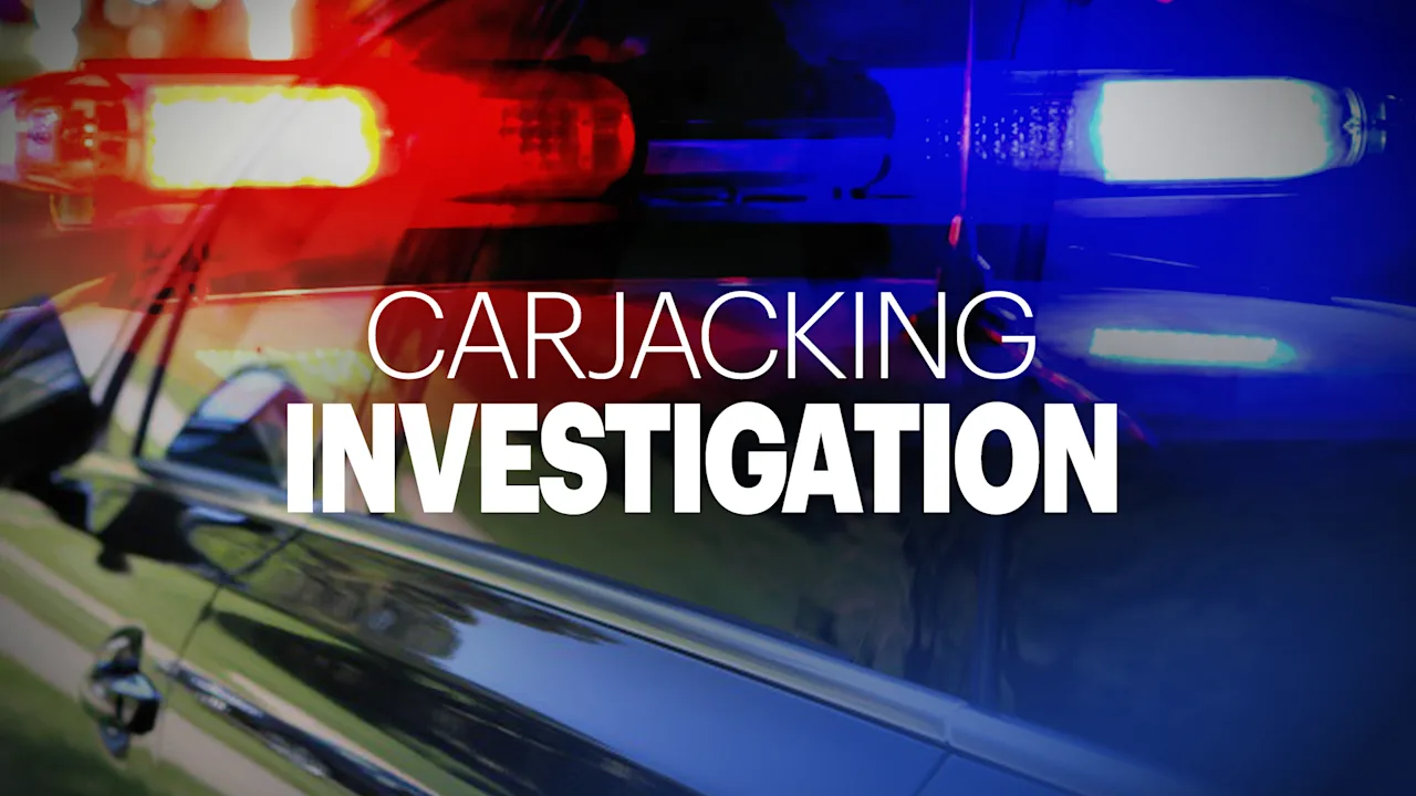 carjacking copy