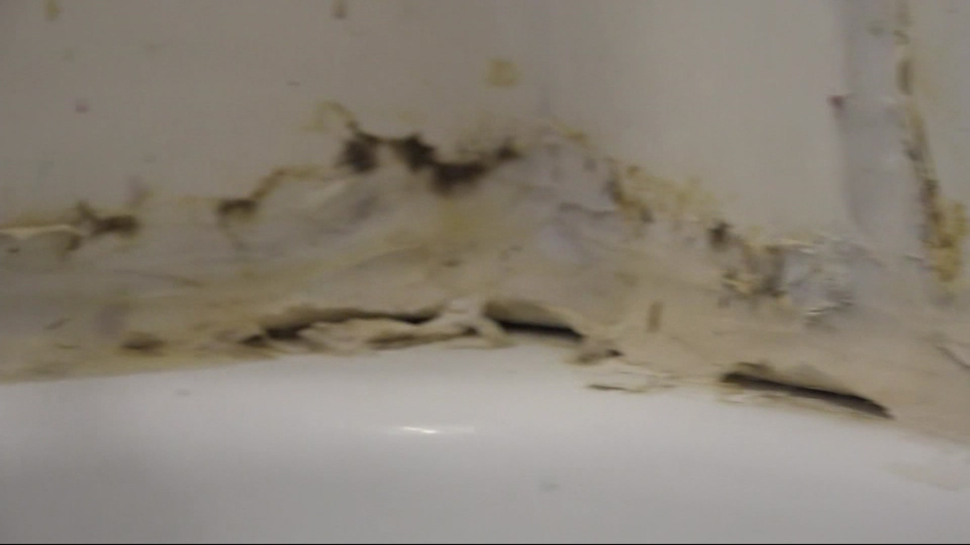 Brooklyn NYCHA Tenant Says Unsafe Mold Is Spreading Across Bathroom