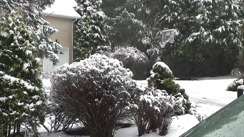 Story image: Snow arrives in Rockaway following weeks of NJ wildfires