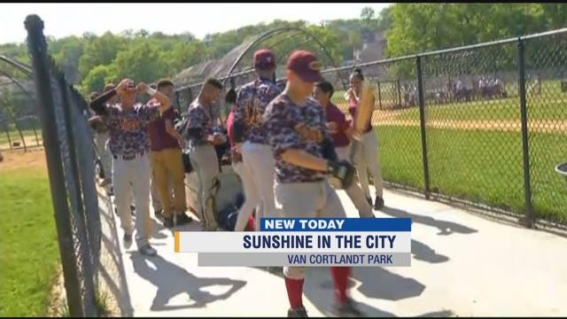 Article 117870 Thumbnail