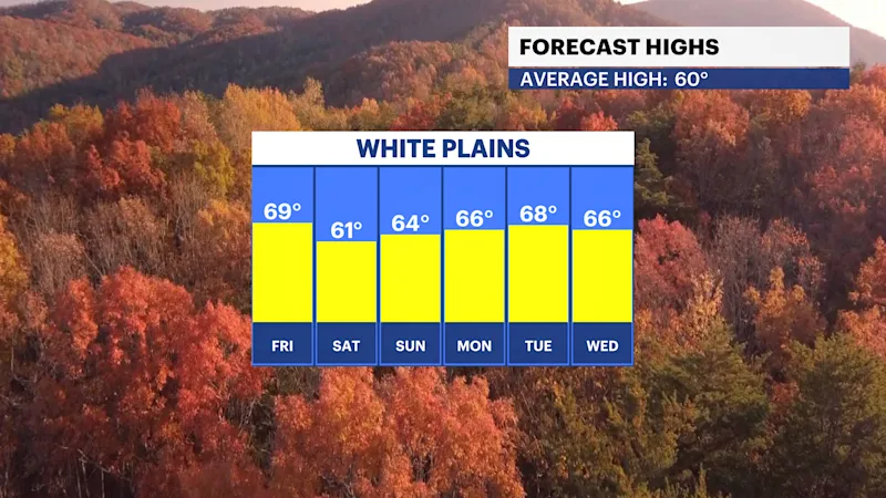 HV HIGHS.png