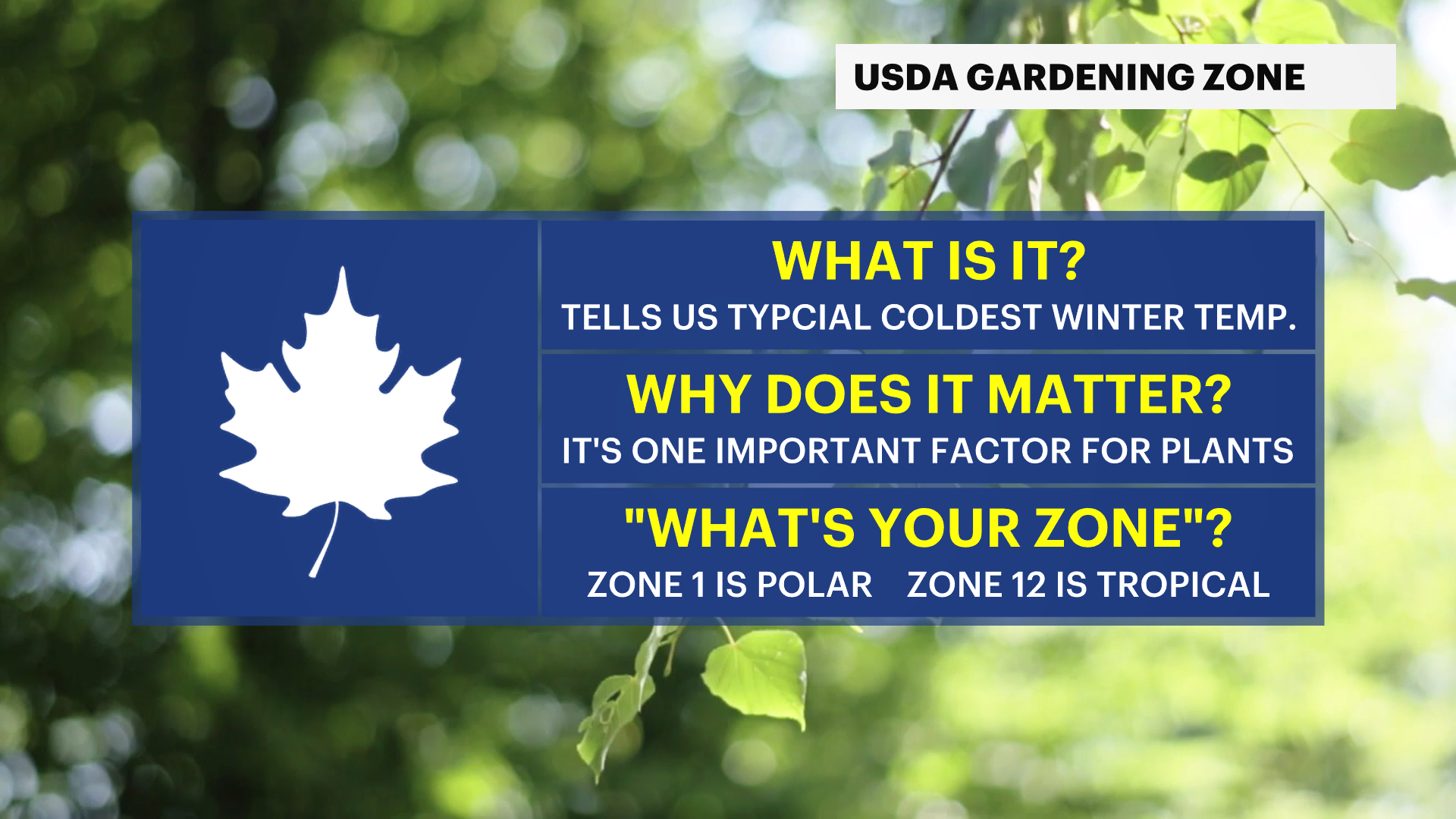 garden-guide-what-s-a-usda-planting-zone