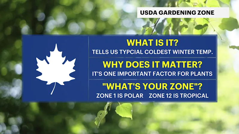 USDA EXPLAINER.png