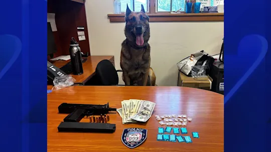 LISouthamptonK9KK_2026-09-17-12-11-08