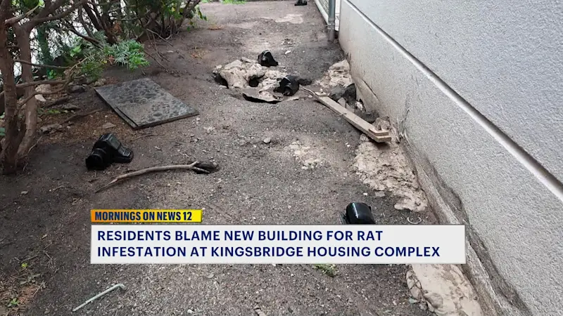 Story image: Residents blame new building for rat infestation at Kingsbridge housing complex