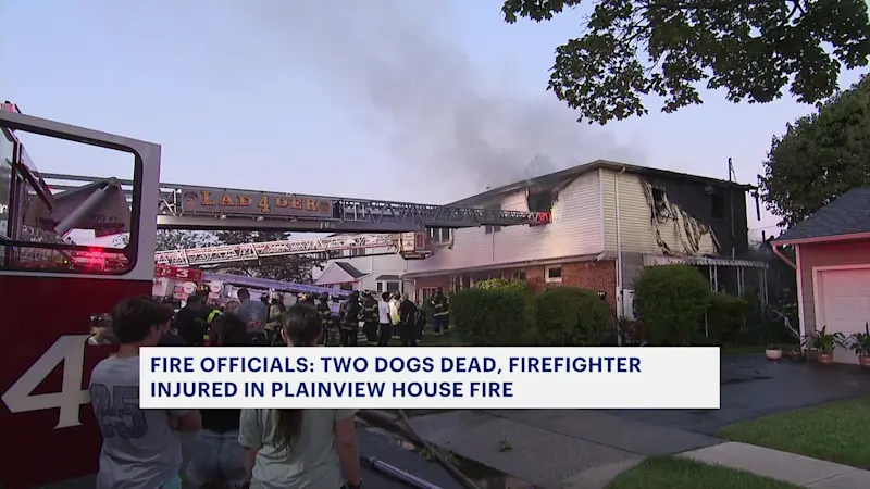 Story image: Police: Memorial Day house fire kills 2 dogs, sends firefighter to the hospital in Plainview
