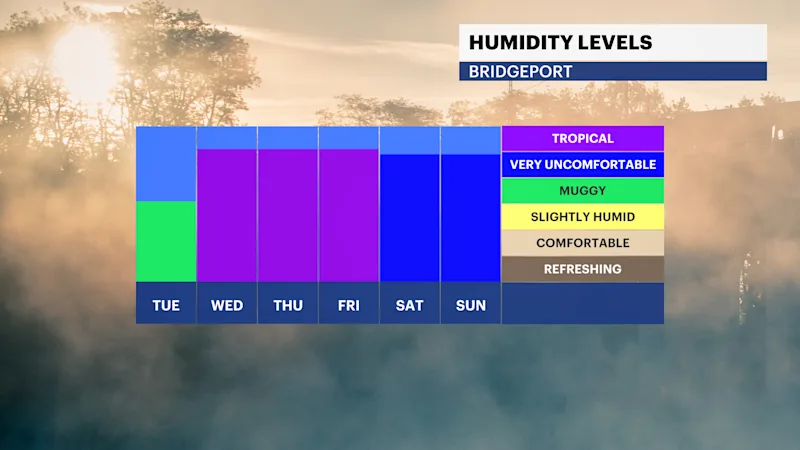 FB_Dewpoint_Daily2.png