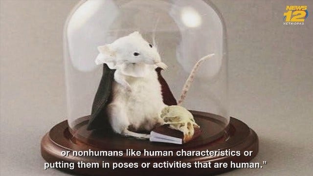 Article 152738 Thumbnail