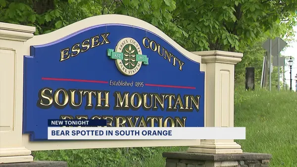 Bear sighting leads to cancellation of some outdoor school activities in Essex County