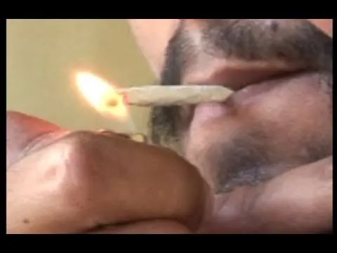 Article 120732 Thumbnail