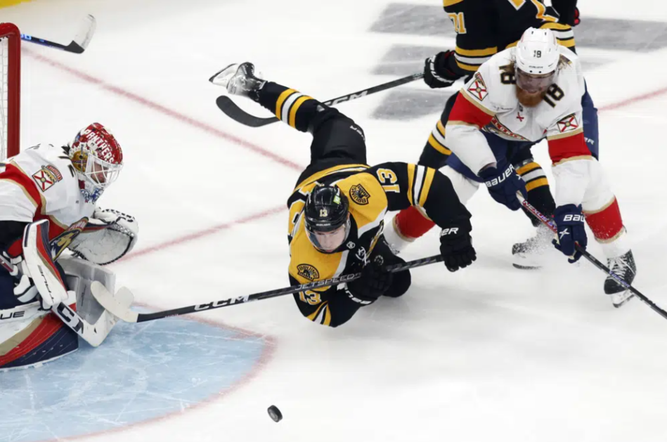 APPanthersEliminateBruins