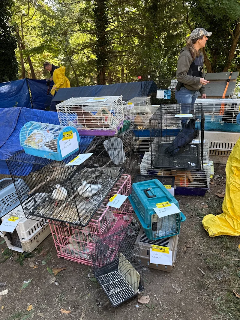 LINorthportAnimalHoarding002.jpeg