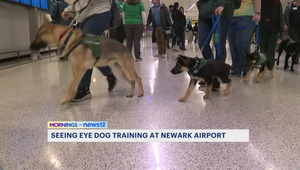 Hundreds of puppies train as Seeing Eye dogs at Newark Liberty International Airport