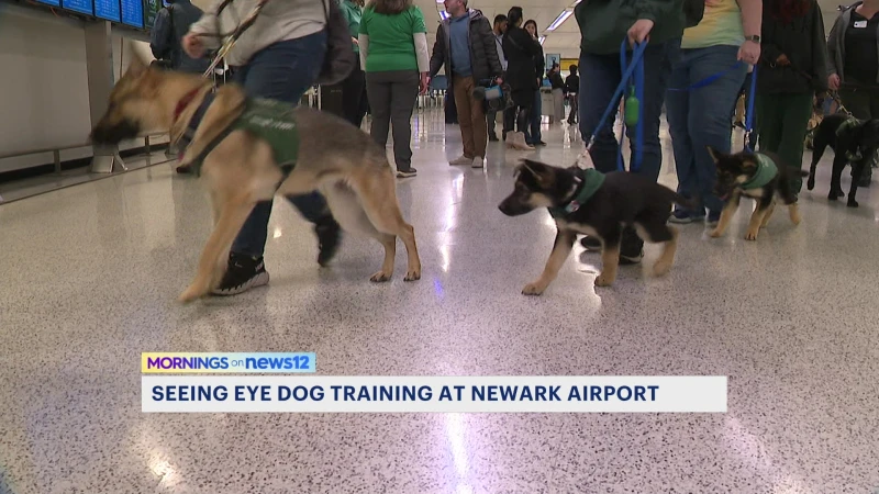 Story image: Hundreds of puppies train as Seeing Eye dogs at Newark Liberty International Airport