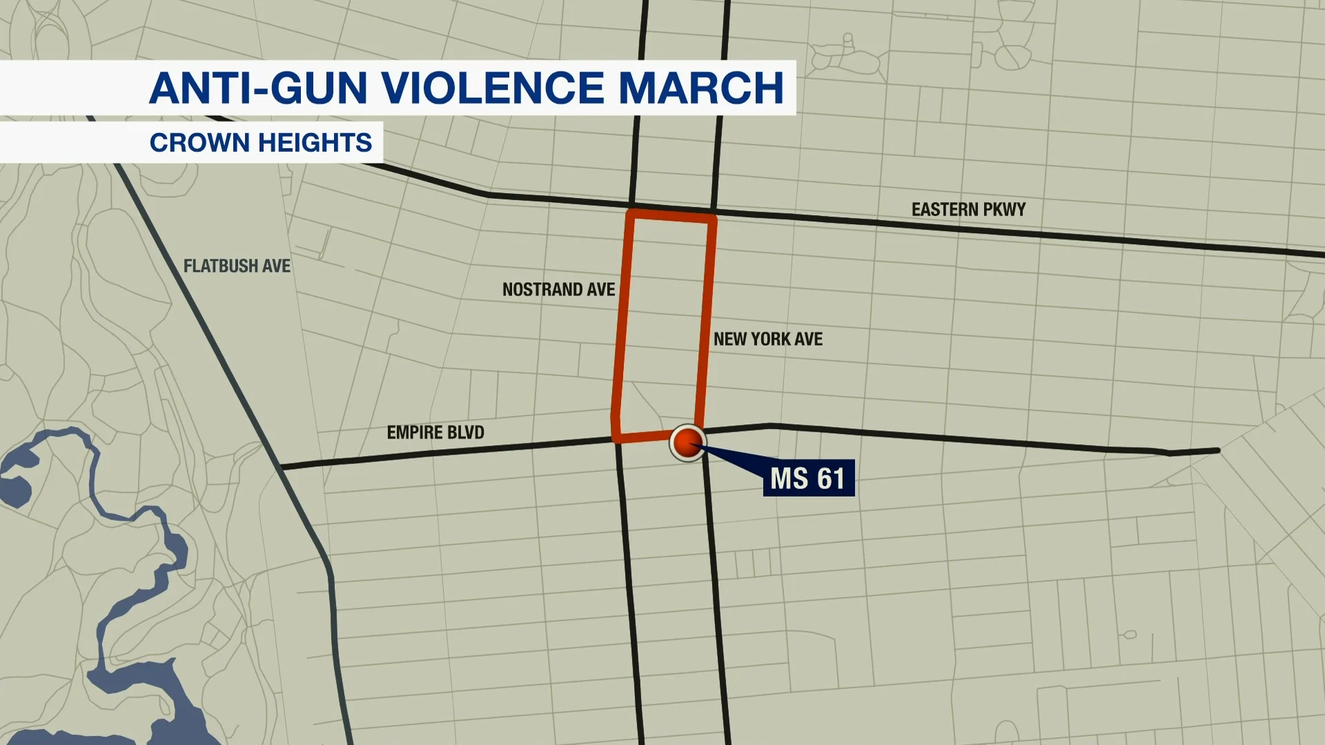 Brooklyn students to march in Crown Heights streets to denounce gun violence
