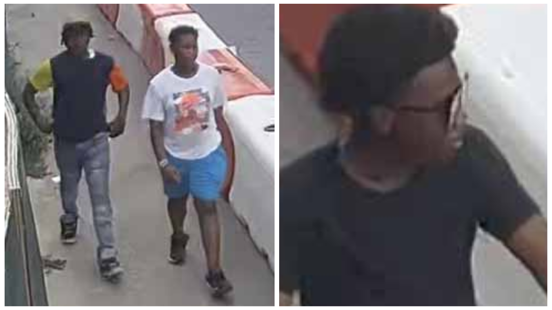 Article 301963 Hero Image