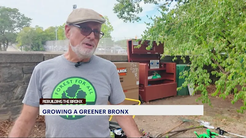 Story image: Tree Stewardship Tool Lending Library opens in Norwood