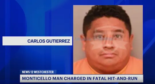 hit and run arrest