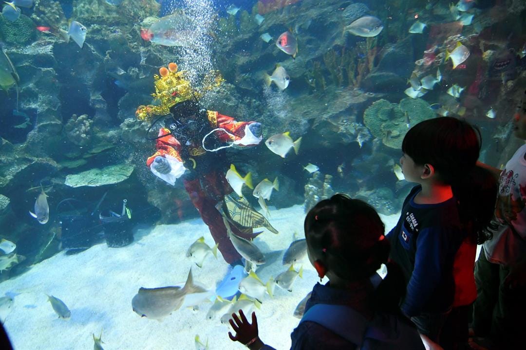 Article 3326 Thumbnail