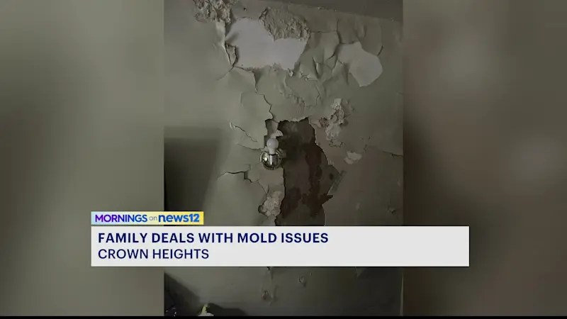 Story image: NYCHA resident complains of severe mold in apartment