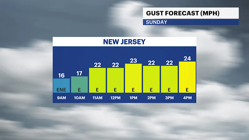 NJ_7.png