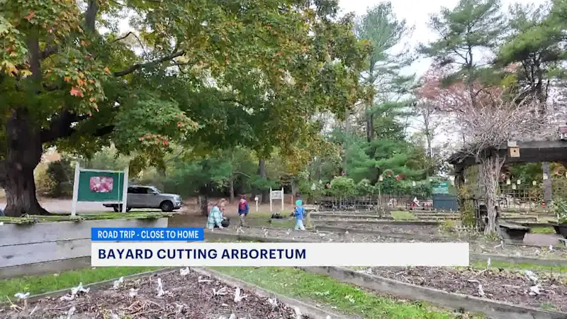 Story image: Check out the colors of the season on display at Bayard Cutting Arboretum