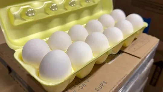 Egg Donation MS 091626_2026-09-16-17-38-33