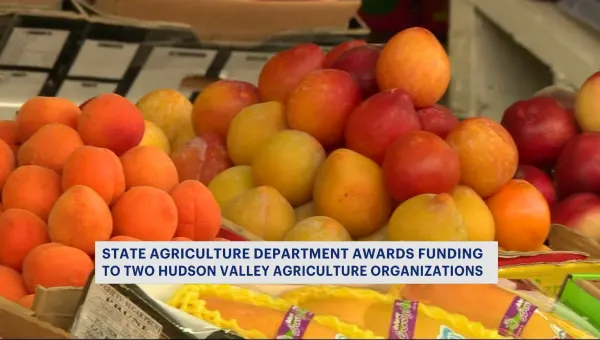 $100,000 awarded to local agriculture organizations in Clarkstown and Poughkeepsie