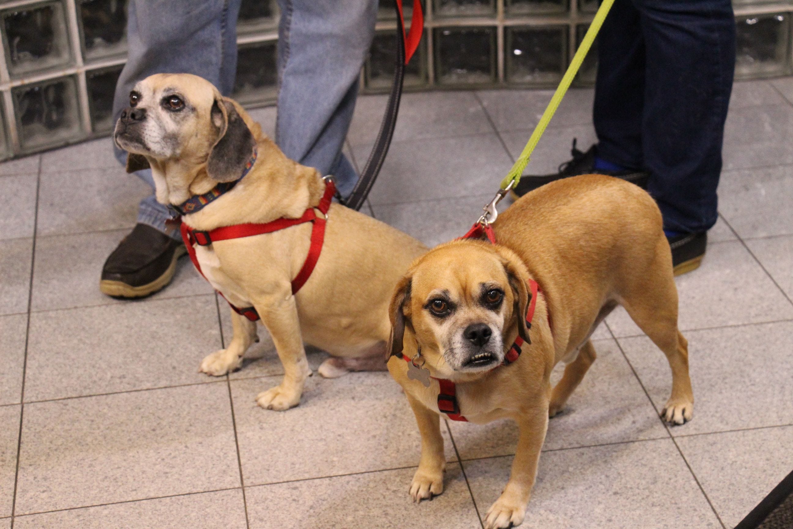 Article 3332 Thumbnail