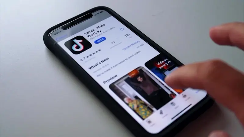 Story image: TikTok's return creates controversy among parents, schools and local organizations 