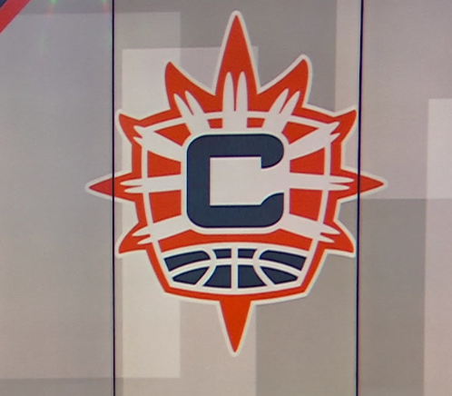 Story image: Celtics minority owner reaches deal to buy Connecticut Sun for record $325 million, AP source says