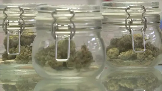 li10pmjeremycannabis_2026-10-13-22-16-19