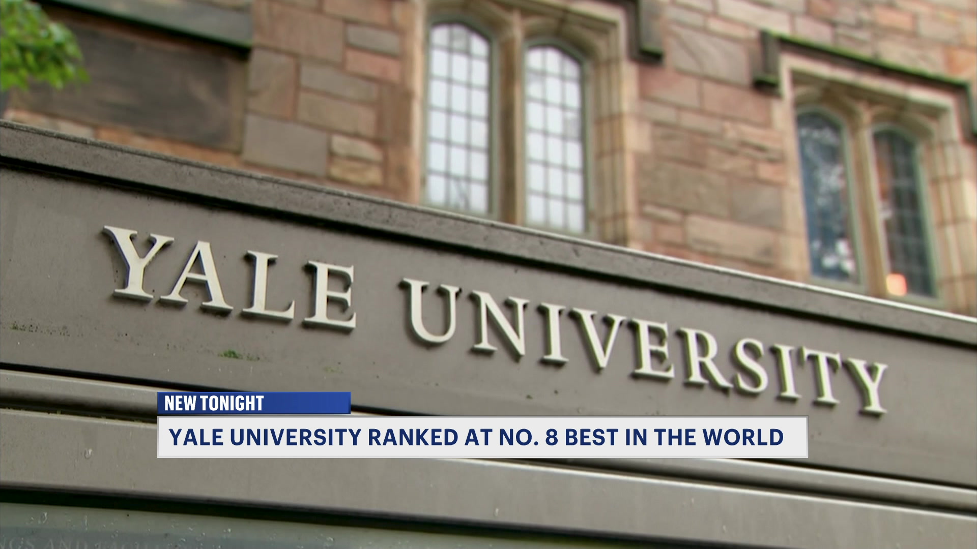 yale0616_2026-06-16-21-13-19