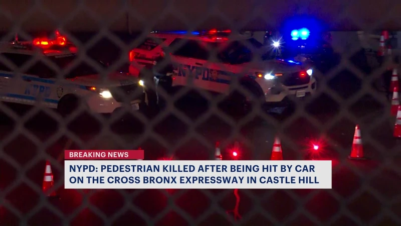 Story image: NYPD: Male pedestrian fatally struck on Cross Bronx Expressway