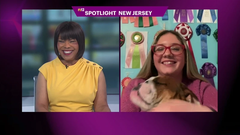 Story image: Spotlight New Jersey: Middlesex teen and English bulldog shine bright at dog shows
