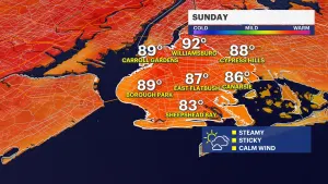 Hot and humid Sunday in Brooklyn, feels-like temps near 100