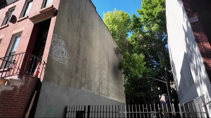 Story image: Bed-Stuy residents call for removal of overgrown trees damaging homes  