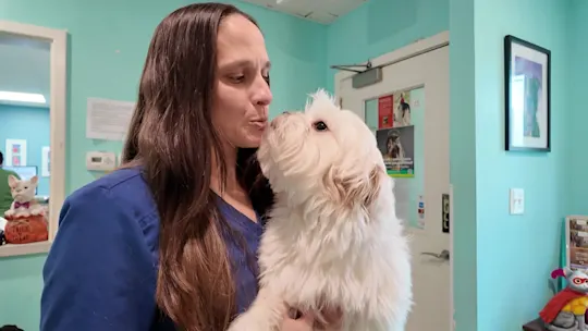 LIanimalhospitalkk_2026-10-21-18-27-52