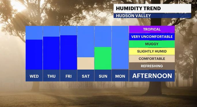 daily humidity levels HV.JPG
