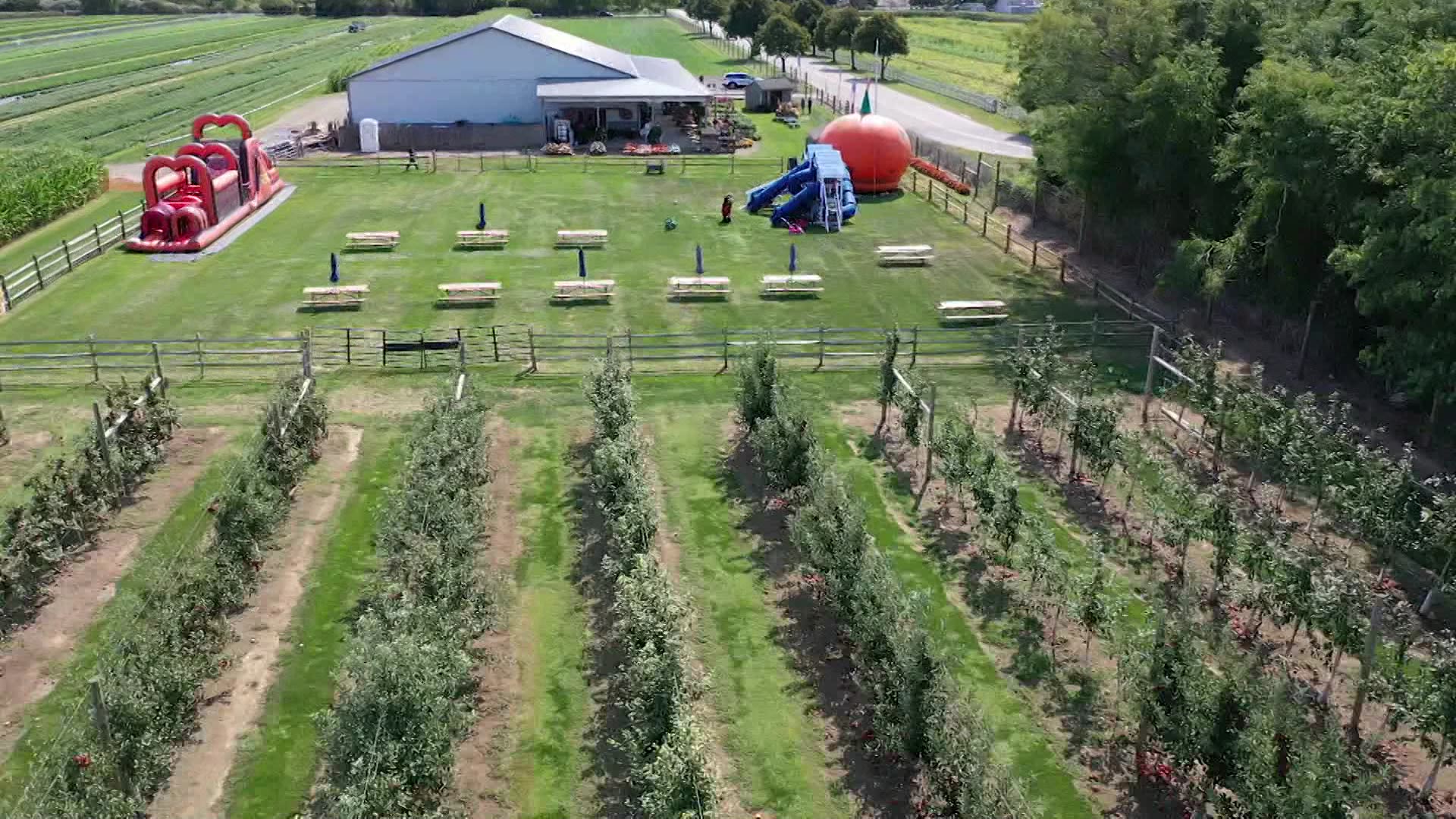 East End Full Show Helen's Farm, Little Ram Oyster Co., Westhampton
