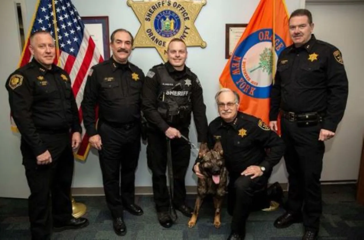 Article 287431 Hero Image