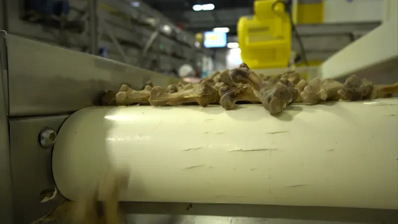 Story image: Made in New Jersey: Nylabone