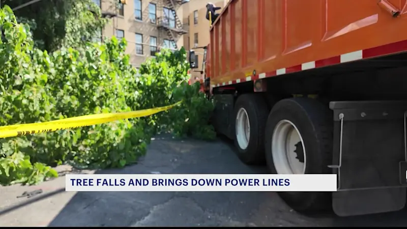 Story image: Tree falls, brings down power lines, trapping cars in Crown Heights