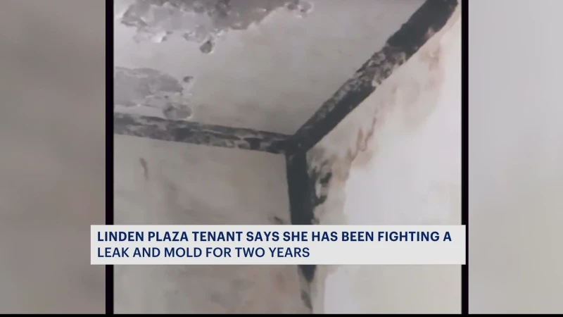 Story image: Cypress Hills woman demands action from Linden Plaza Apartment Management due to moldy apartment conditions