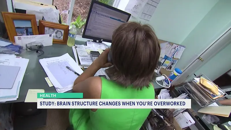 Story image: How does working long hours affect your brain?